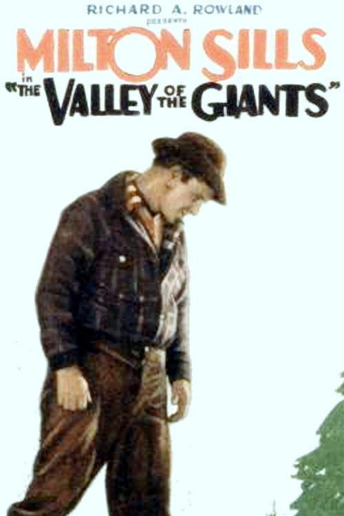 The Valley of the Giants movie poster print