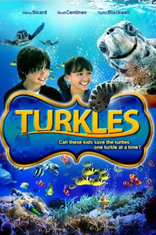 Turkles movie poster print