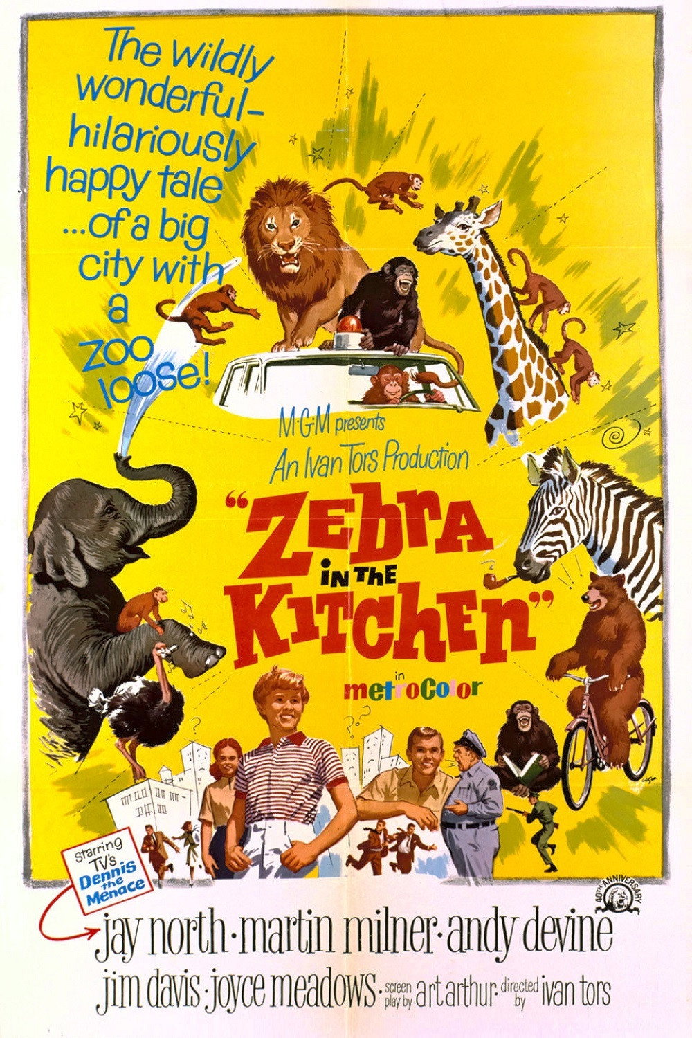 Zebra in the Kitchen movie poster print